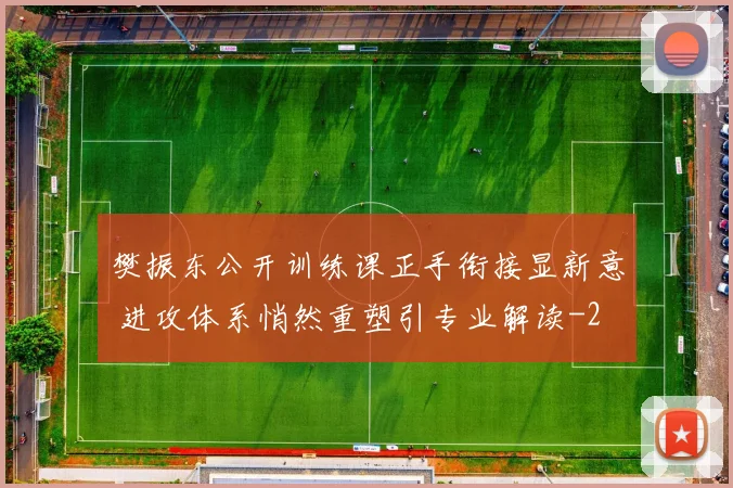 樊振东公开训练课正手衔接显新意 进攻体系悄然重塑引专业解读