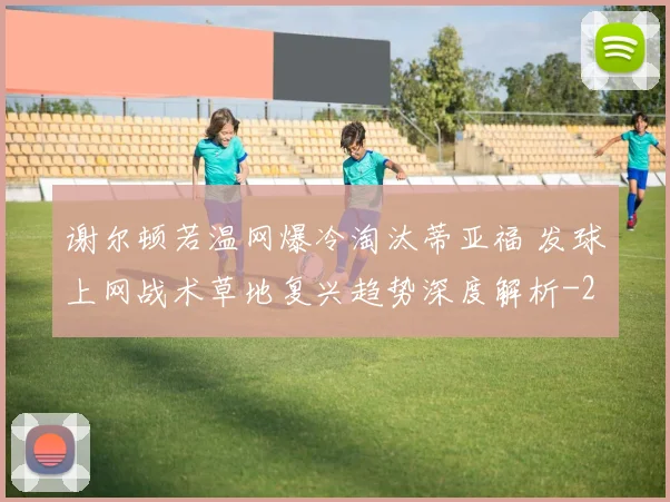 谢尔顿若温网爆冷淘汰蒂亚福 发球上网战术草地复兴趋势深度解析