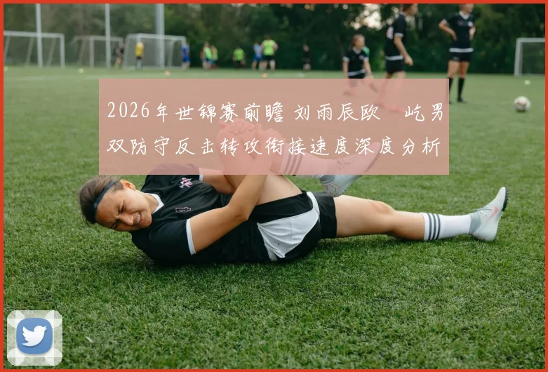 2026年世锦赛前瞻 刘雨辰欧烜屹男双防守反击转攻衔接速度深度分析